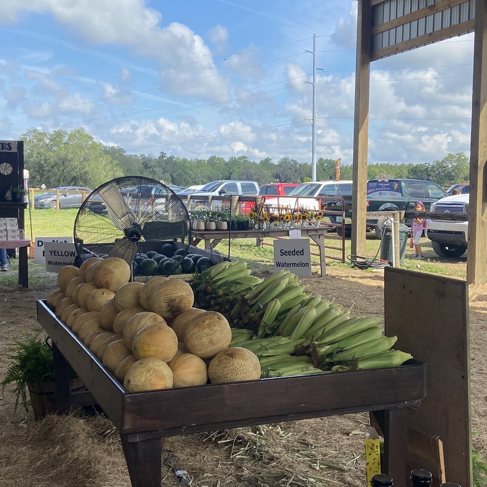 Cannon Farms - Pick Your Own Farms Near Me - Dunnellon, Florida Cannon Farms - Pick Your Own Farms Near Me - Dunnellon, Florida