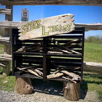Dogs At Camp - Pet Boarding Near Me - Uxbridge, Ontario
