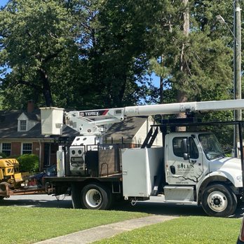 Bills Tree Service - Bill's Tree Service - Tree Services Near Me - Greensboro, North Carolina Bills Tree Service - Bill's Tree Service - Tree Services Near Me - Greensboro, North Carolina