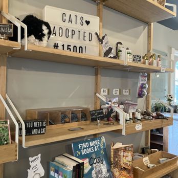 Gem City Catfé - Coffee & Tea Near Me - Dayton, Ohio Gem City Catfé - Coffee & Tea Near Me - Dayton, Ohio