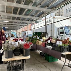 Mt. Sinai Greenmarket - Every Wednesday 07/09/25