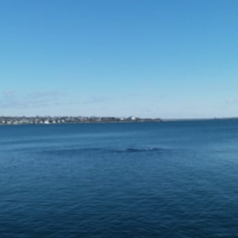 Cliff Walk - Great views of the bay. Almost too many views to wrap your head around. - Parks Near Me - Newport, Rhode Island