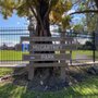 Photo of McCartney Park