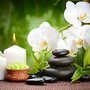 Photo of Wood Family Chiropractic