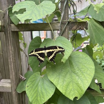 Coastal Discovery Museum - Museums Near Me - Hilton Head Island, South Carolina