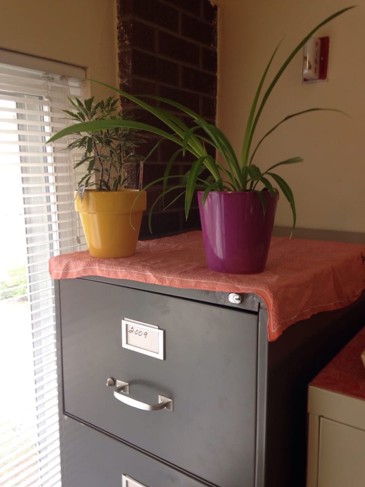 The Arc of Aurora - social services organization in Aurora, CO