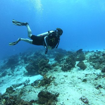 Blue Life - Scuba Diving Near Me - Centro, ROO