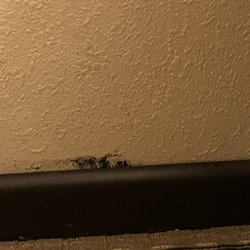 Wyndham Garden Oklahoma City Airport - Mold?