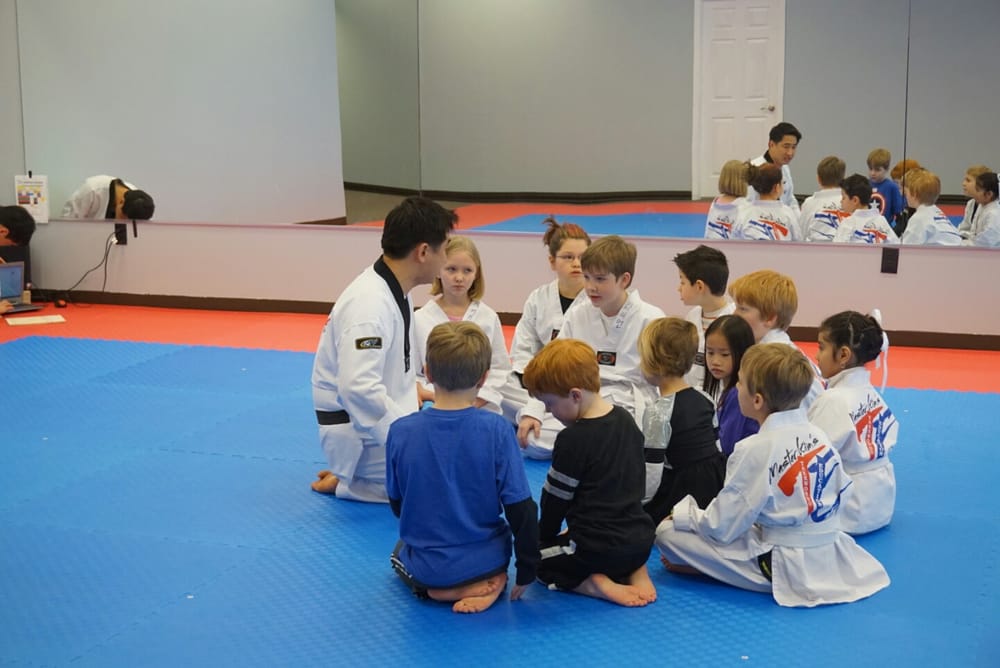 Master Kim's Taekwondo Education Logo