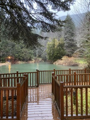 Alexander's Lodge At Mt Rainier by null