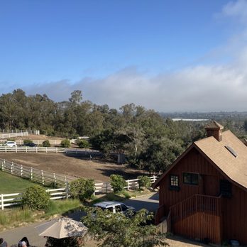 Canzelle Alpacas - Farms Near Me - Carpinteria, California