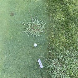 Eagle Ridge Golf Club - Fringe