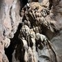 Photo of Carter Caves State Resort Park