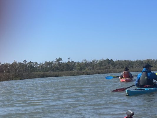 Savannah Canoe and Kayak by null