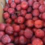 Photo of Moholt Fresh Produce