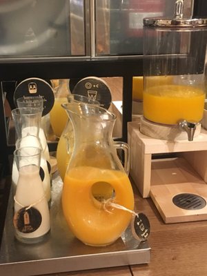 Petit Palace Boqueria Garden by null