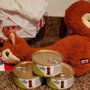 Photo of Fussy Friends Pet Supply