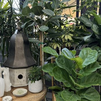 Planthaven Farms - Olivette - Nurseries & Gardening Near Me - Olivette, Missouri