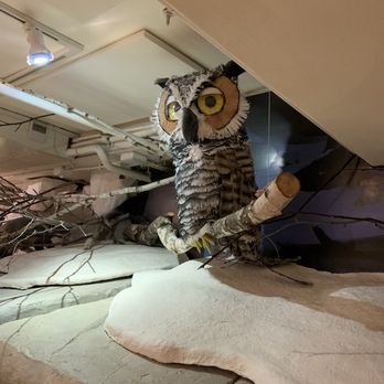 Madison Children's Museum - Children's Museums Near Me - Madison, Wisconsin