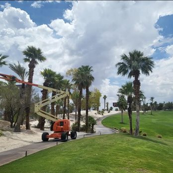 Elite Tree Services - Tree Services Near Me