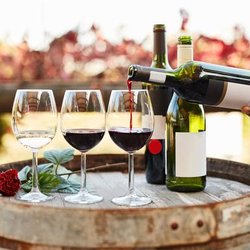 Oeno Winemaking - untitled