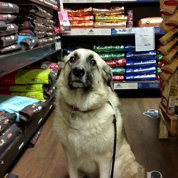 G & E Pharmacy - My friend Chris's dog picking up his dinner at G&E. He's in dog heaven!!! - Pet Stores Near Me - Edmonton, Alberta G & E Pharmacy - My friend Chris's dog picking up his dinner at G&E. He's in dog heaven!!! - Pet Stores Near Me - Edmonton, Alberta