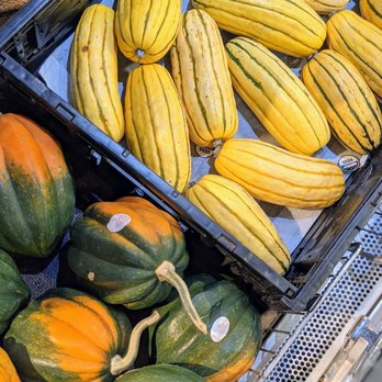 The Produce Exchange - Squashes! - Grocery Near Me - Minneapolis, Minnesota The Produce Exchange - Squashes! - Grocery Near Me - Minneapolis, Minnesota