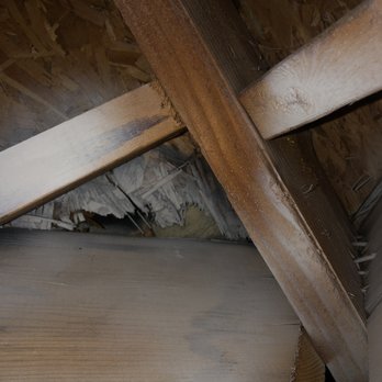 B & F Roofing - He didn't think this rotten sheeting would be a problem even though you can poke your finger through - Roofing Near Me - Shelbyville, Indiana
