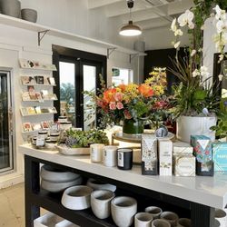Lollia Blooms Floral Design