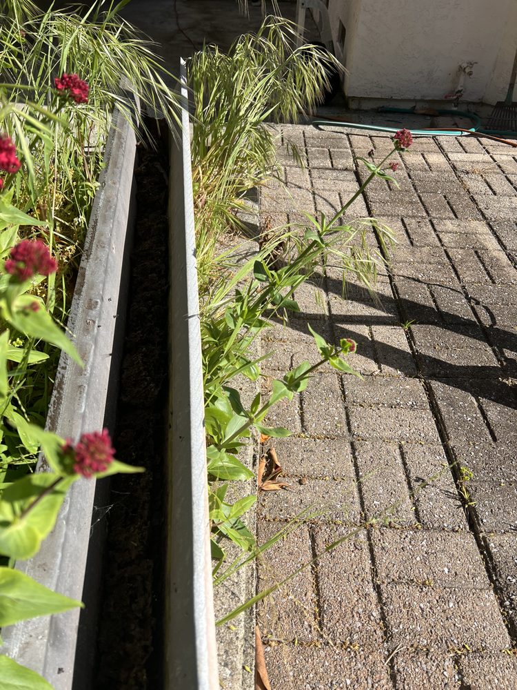 Slide of Hire Mikey's