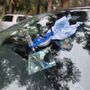 Photo of Chip Away Auto Glass Repair