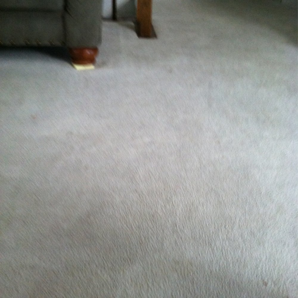 Stanley Steemer - Living room carpet which was really dirty. Looks new now! - Carpet Cleaning Near Me - Bowie, Maryland Stanley Steemer - Living room carpet which was really dirty. Looks new now! - Carpet Cleaning Near Me - Bowie, Maryland