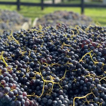 Droumavalla Farm - Wineries Near Me - Leesburg, Virginia Droumavalla Farm - Wineries Near Me - Leesburg, Virginia