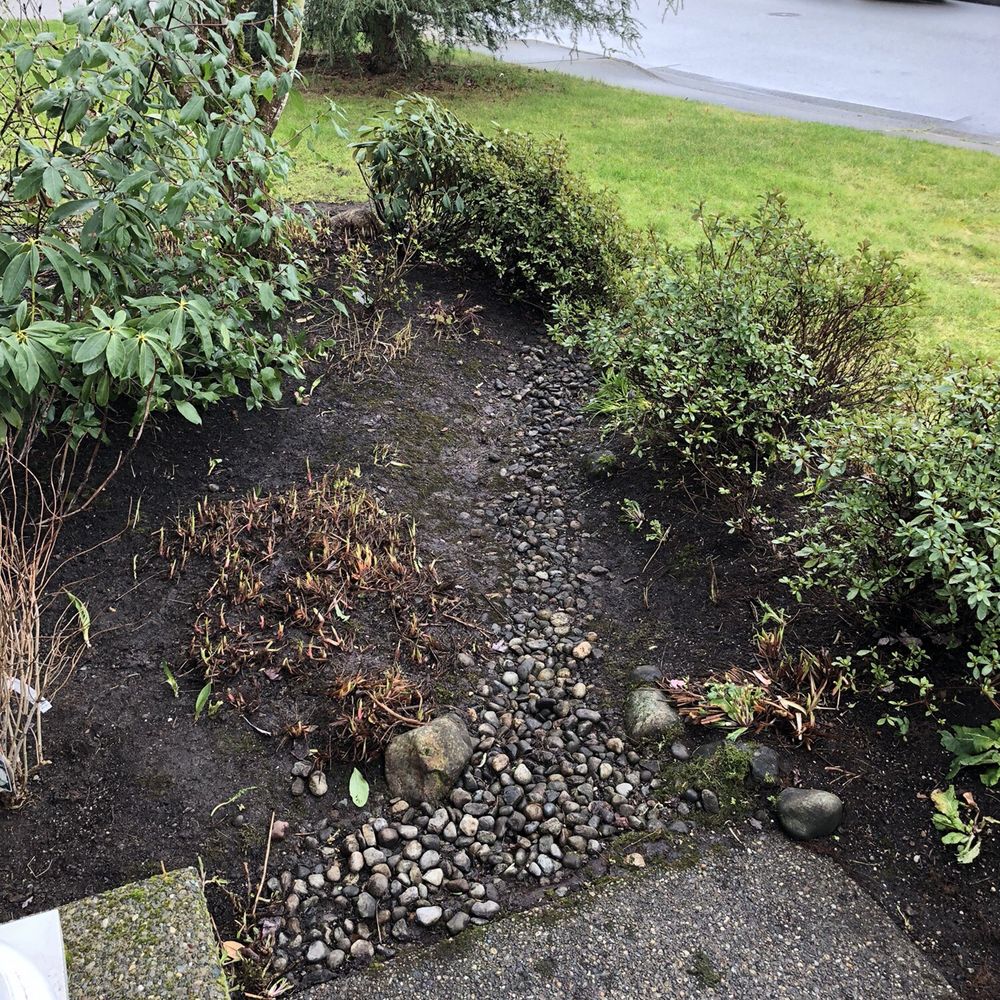 Merino’s Landscaping - After front yard! - Lawn Services Near Me