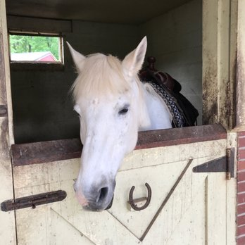 Happy On Hooves - Marco - Horseback Riding Near Me - Hampstead, Maryland