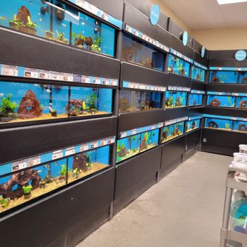 Petco - Pet Training Near Me - Avon, Connecticut