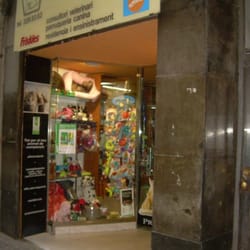 Casa del Perro