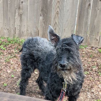 Batch - Craft Beer and Kolaches - Pup friendly - Beer Bar Near Me - Austin, Texas Batch - Craft Beer and Kolaches - Pup friendly - Beer Bar Near Me - Austin, Texas