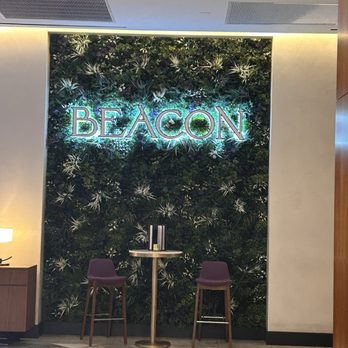 Beacon - Cocktail Bars Near Me - Tampa, Florida Beacon - Cocktail Bars Near Me - Tampa, Florida