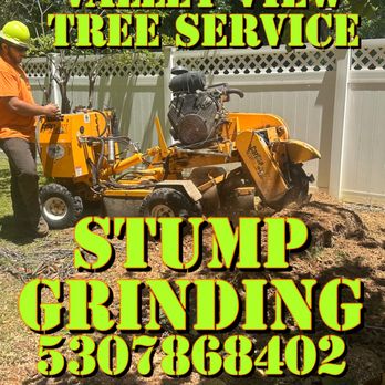 Valley View Tree Service - Yes we do stump grinding give us a call today for a free estimate - Tree Services Near Me