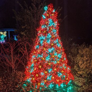 Garden D'Lights - Local Flavor Near Me - Bellevue, Washington Garden D'Lights - Local Flavor Near Me - Bellevue, Washington