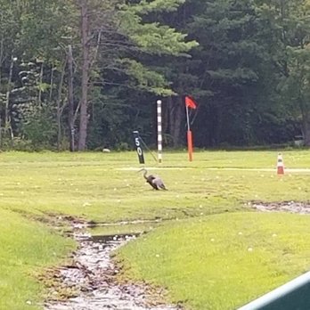Paradise Family Golf - Golf Near Me - Middleton, Massachusetts Paradise Family Golf - Golf Near Me - Middleton, Massachusetts