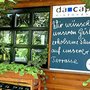 Photo of Ristorante da capo