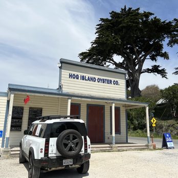 Hog Island Oyster - Seafood Near Me - Marshall, California