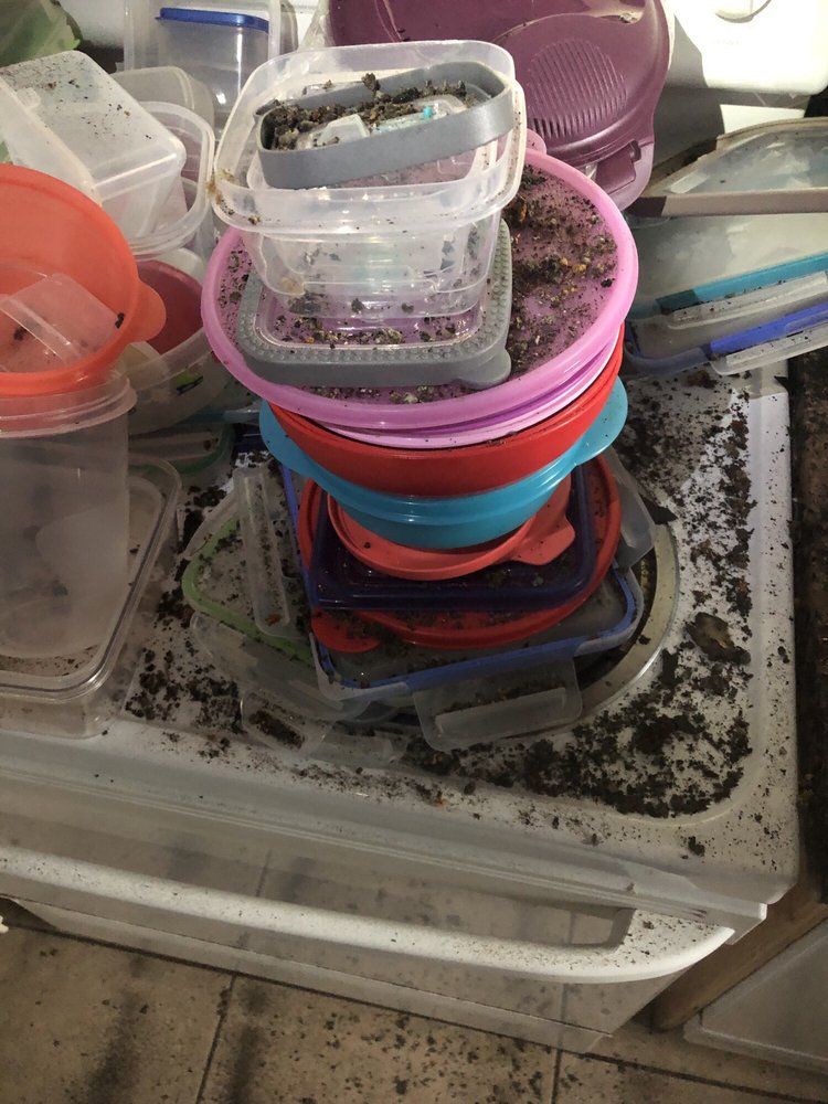 Slide of All Weather Roofing