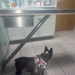 Glastonbury Animal Hospital