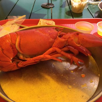 Thurston's Lobster Pound - Seafood Near Me - Bernard, Maine Thurston's Lobster Pound - Seafood Near Me - Bernard, Maine