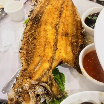 Seafood Cove 2 - Dim Sum Near Me - Westminster, California Seafood Cove 2 - Dim Sum Near Me - Westminster, California