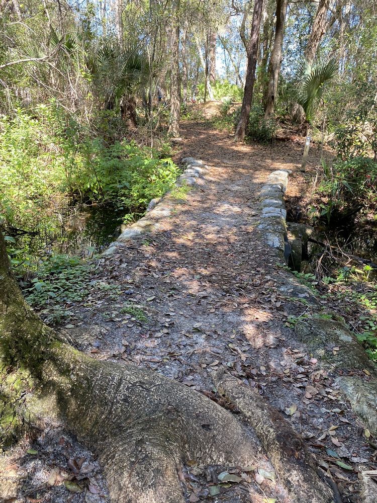 Palmetto Point Park Image