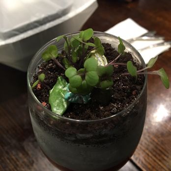Chef's Gallery - Chinese Near Me - Bankstown, NSW
